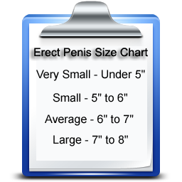Erect Penis Size Chart
